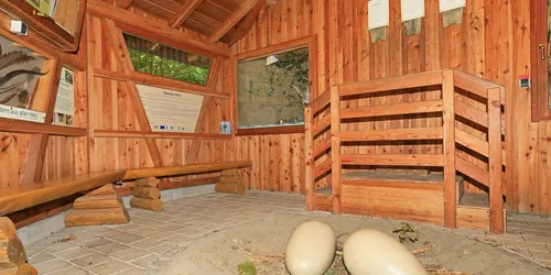 Der Vogellehrpfad Friesenried, das Vogelnest, Foto: Uwe Miethe