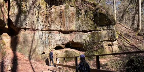 Im Schnittlinger Loch in der Nähe des Brombachsees