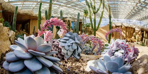 Egapark Erfurt: Flowers, garden art, and recreational fun since 1961